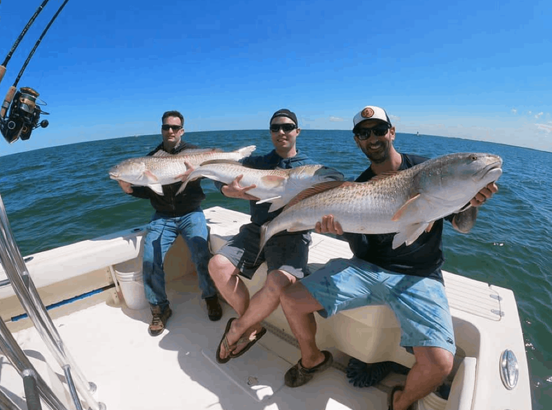 Fishing Charters Chesapeake Bay